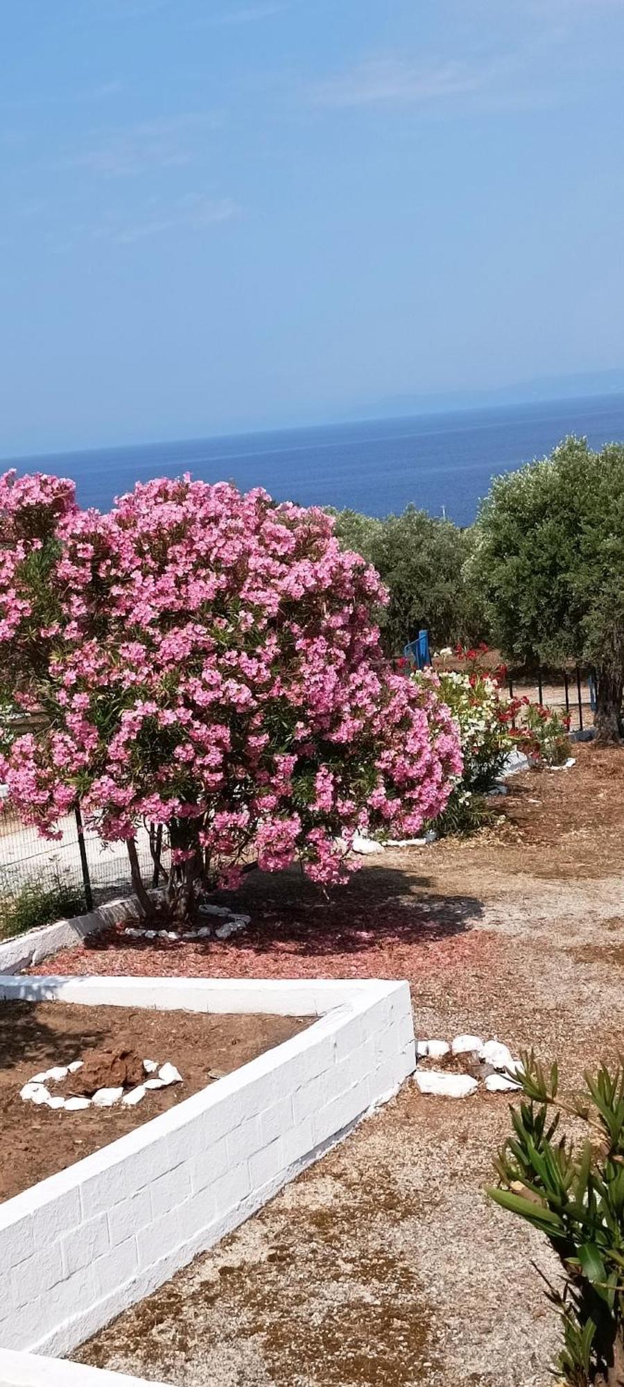 Villas Kiriaki Kallirákhi المظهر الخارجي الصورة