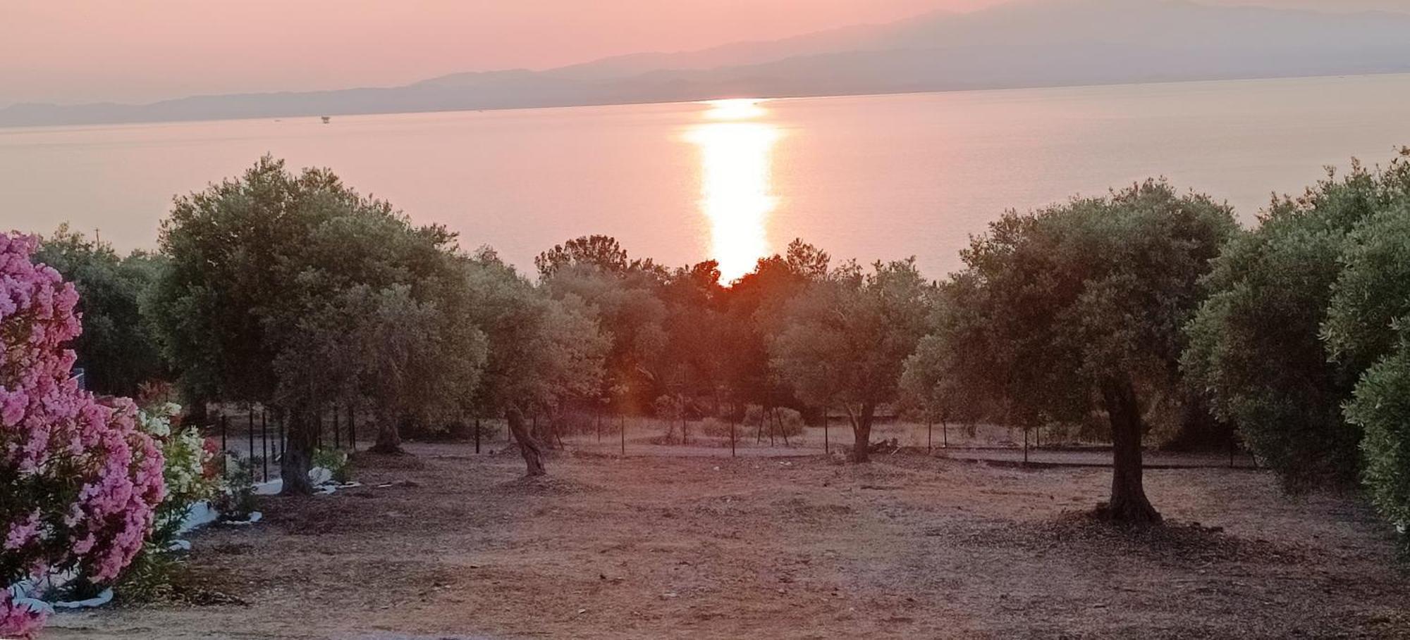 Villas Kiriaki Kallirákhi المظهر الخارجي الصورة